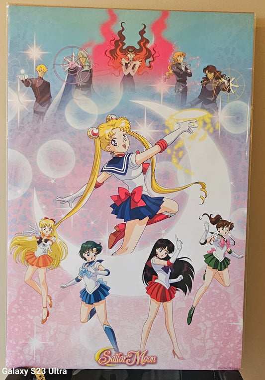 Sailor Moon Poster Large