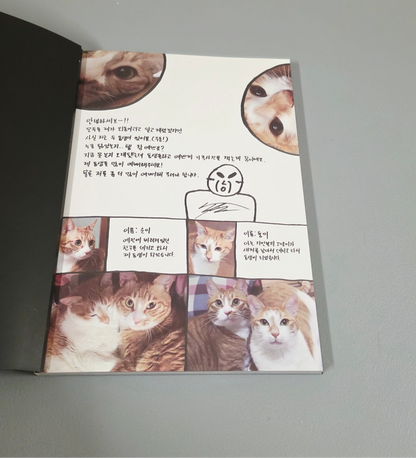 JYP Entertainment K-Pop album featuring illustrated cat imagery and handwritten notes, brand new condition